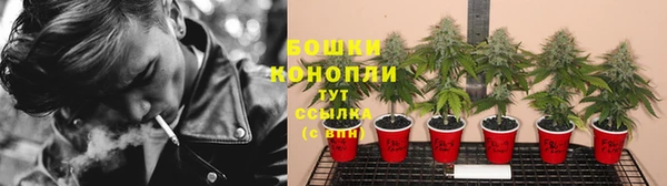 трава Покачи