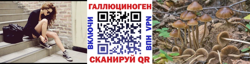 hydra как зайти  shop официальный сайт  Псилоцибиновые грибы GOLDEN TEACHER  Северо-Курильск 